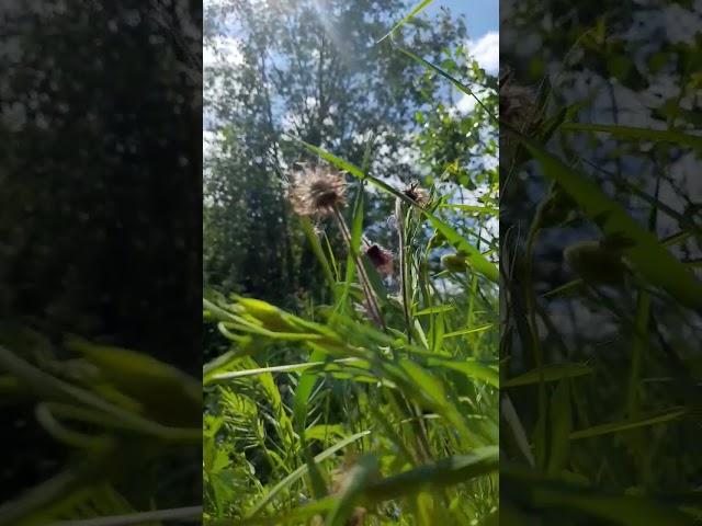 красота в мелочах..