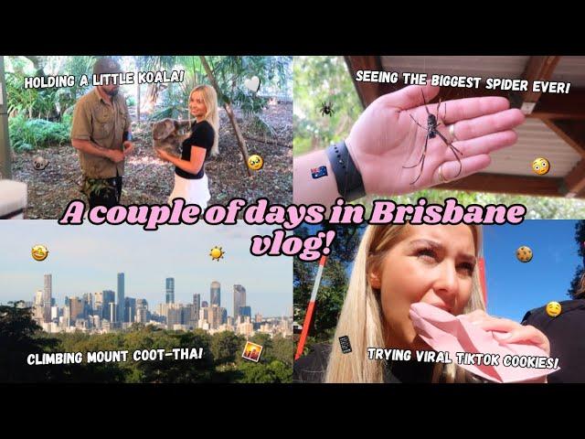 ANOTHER BRISBANE VLOG! LONE PINE SANCTUARY, ANZAC DAY AND MOUNT COOT-THA 