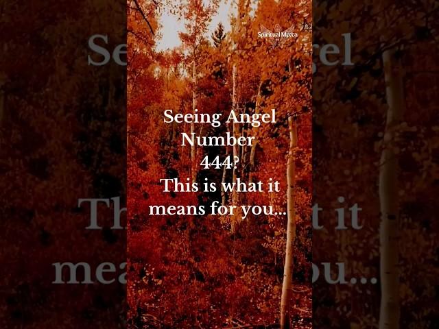 444 angel number meaning #444 #angelnumbers #angel #angels #spirituality #spiritual #awakening #god