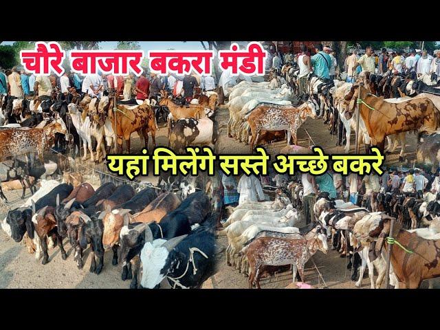 chaure bajar Bakra Mandi | चौरे बाजार बकरा मंडी फैजाबाद ||