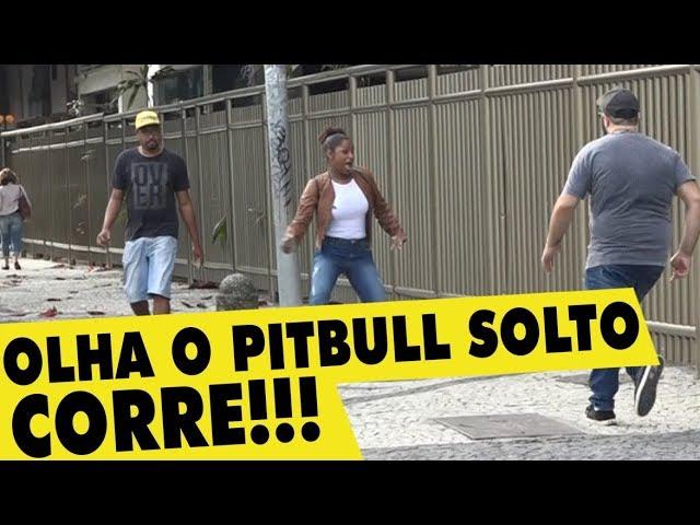 PEGADINHA - OLHA O PITBULL SOLTO! #DESAFIO 15