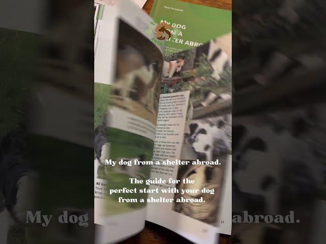 My dog from a shelter abroad #dog #dogbehavior #adoptdontshop #streetdog #books