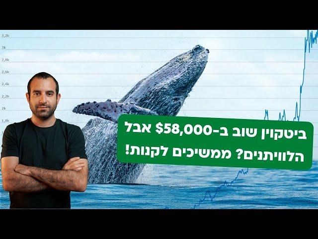 ביטקוין חוזר ל-$58,000 אבל ניתוח הבלוקצ'יין מראה: הלוויתנים מעמיסים!