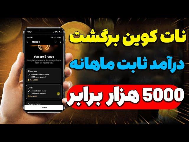 آموزش صفر تا صد فاز جدید نات کوین تا 5000 هزار برابر