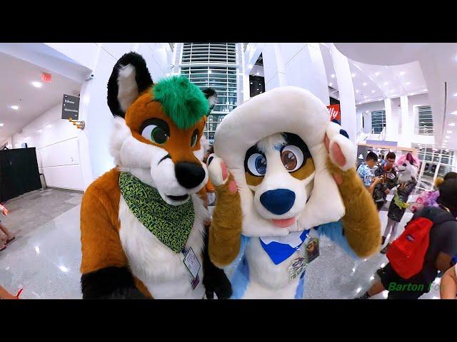 Another Furry Con 2024 - Random Clips