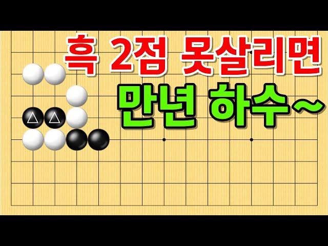 사활 바둑 묘수 - 실전에서 이거 모르면 하수 소리 듣습니다. 흑 2점을 살려보세요. #바둑 #사활 #바둑강좌