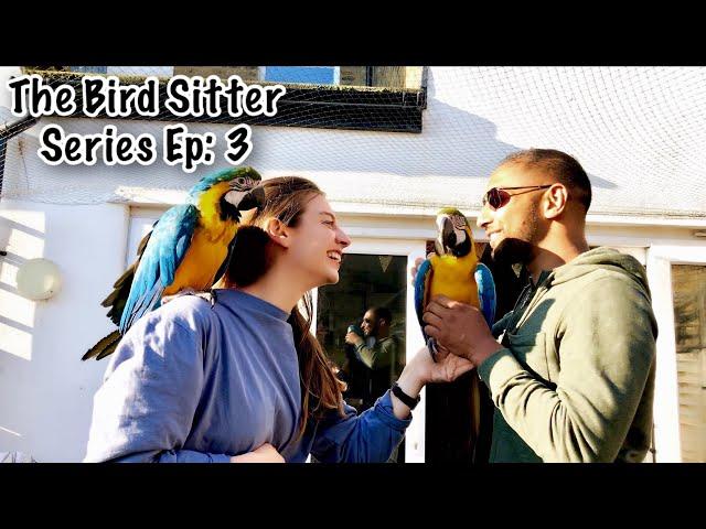 Our Parrots Reaction To Us Coming Home After 16 Days || The Bird Sitter Series - Ep: 3