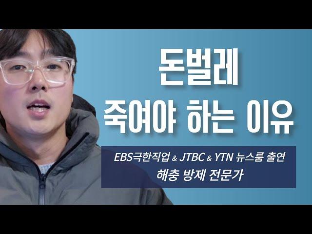 돈벌레를 퇴치 해야 하는 이유, 그리마는 익충일까?