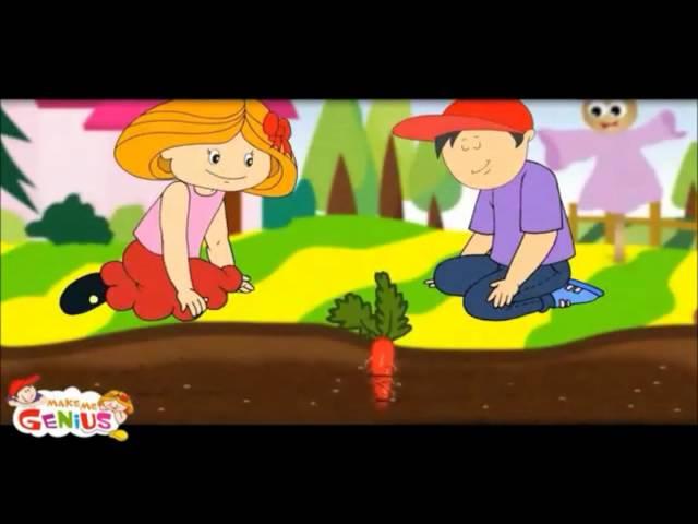 Plants Roots - Types ,Function - Lesson - Education videos for kids from www.makemegenius.com