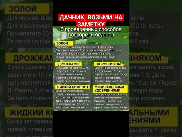 Дачные советы огородникам #советы #дача #огород #огурцы