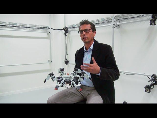 Six-Legged Robots Faster Than Nature-Inspired Gait