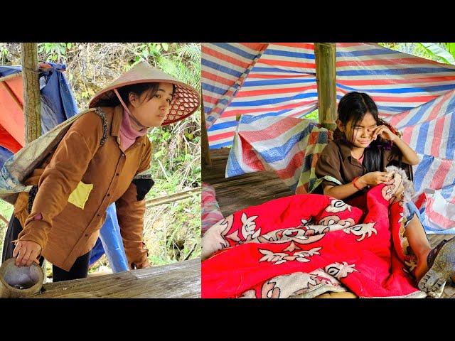 To visit the deserted shelter after a difficult time go making a living, harvesting bananas to sell