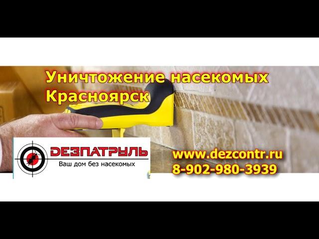 Pest Control Russia Krasnoyarsk