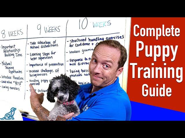 Your Complete Puppy Training Schedule By Age