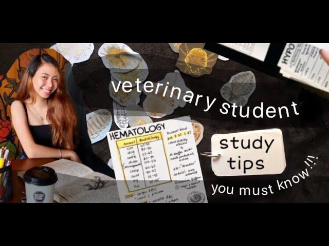 VET MED STUDENT STUDY TIPS