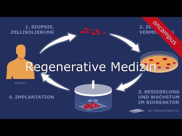 Selbstlernkurs - Regenerative Medizin