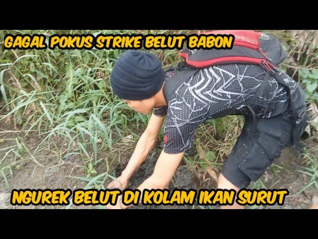  GAK BISA TIDUR !!! gagal strike belut babon