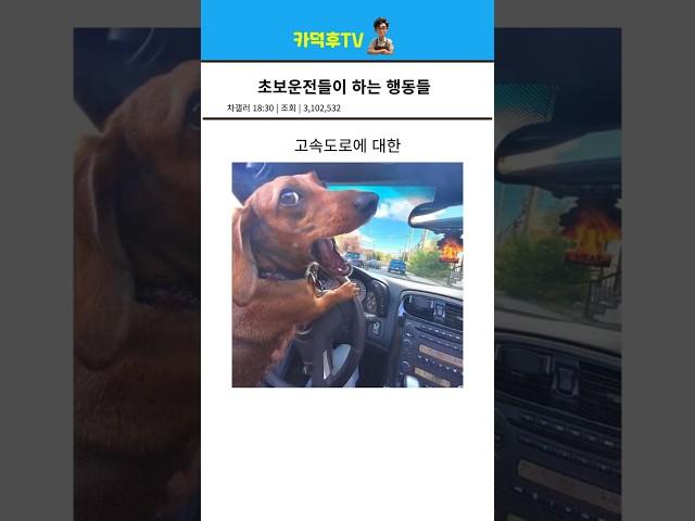 초보운전이 하는 행동들 모음 ㅋㅋ