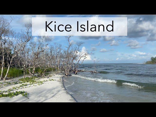 10,000 Islands Florida. Let's look for sea shells on an uninhabited island!