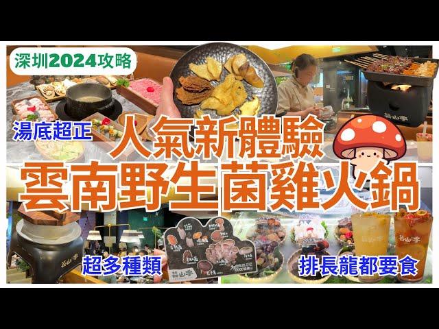 【深圳美食】超級鮮味 ‍️福田雲南野生菌雞湯火鍋｜會展中心美食｜皇庭廣場｜深圳好去处｜芸山季