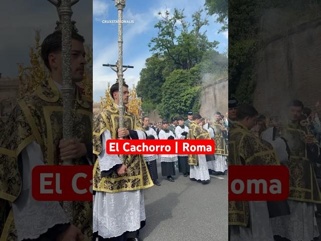 El Cachorro | Sevilla | Jubilee of Confraternities in Rome 2025