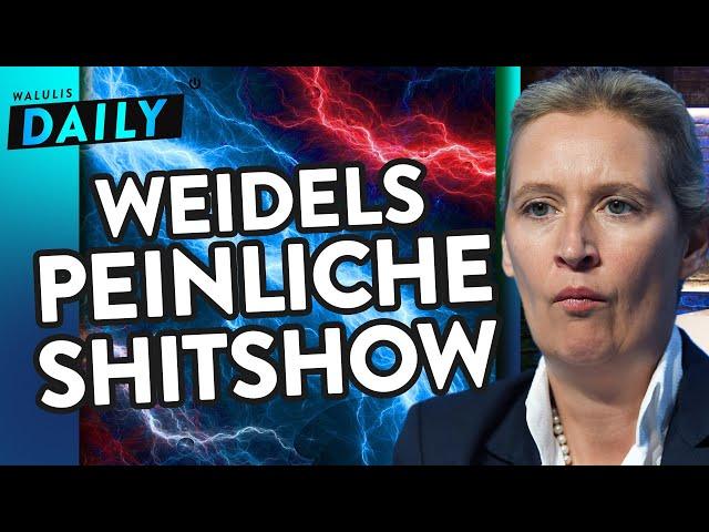 So lustig war der AFD-Parteitag (bis zum Abbruch) | WALULIS DAILY