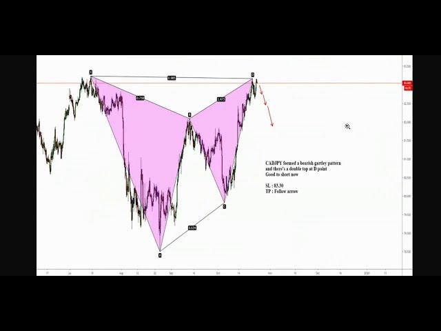 Harmonic Patterns Explained