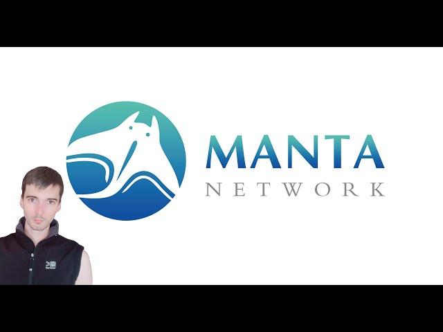 Manta Network - программа амбассадора