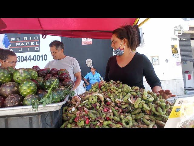 Llegaron las Pitayas a Guadalajara. En las 9 esquinas ...