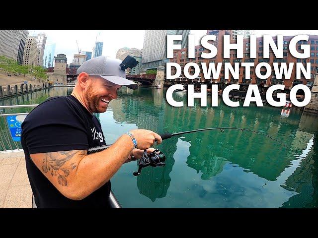 Catching GIANT FISH in Downtown Chicago Riverwalk | Field Trips Illinois