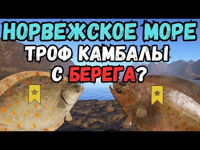 КАК РЫБАЧИТЬ НА МОРЕ С БЕРЕГА?/Норвежское море ● Русская Рыбалка 4 | РР4