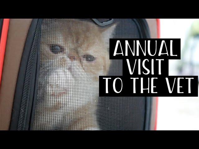 THE BOYS GO TO THE VET | SVEN AND ROBBIE