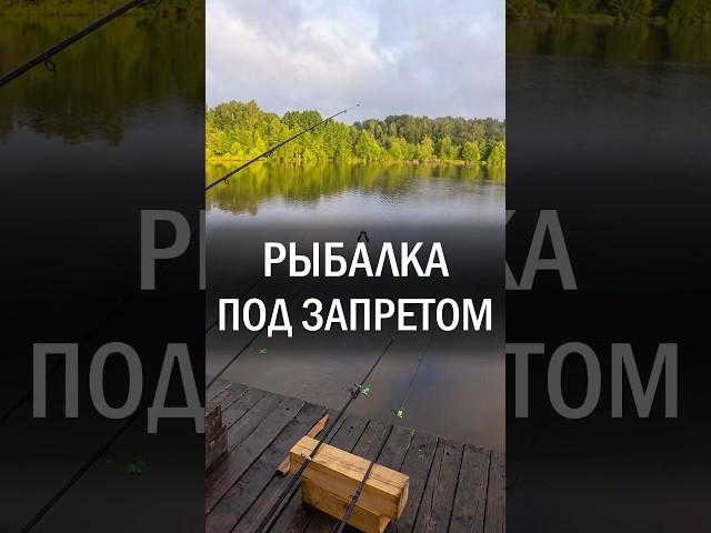 Новые правила рыбалки в Узбекистане