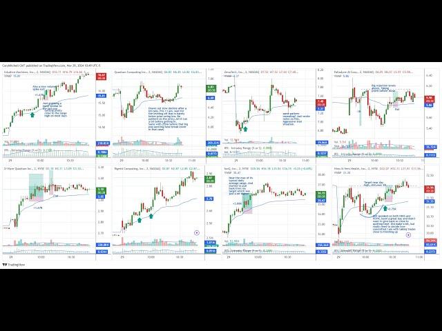 Trade of the Day and New Ideas - Nov  29, 2024 (IONQ ZENA QUBT QBTS)