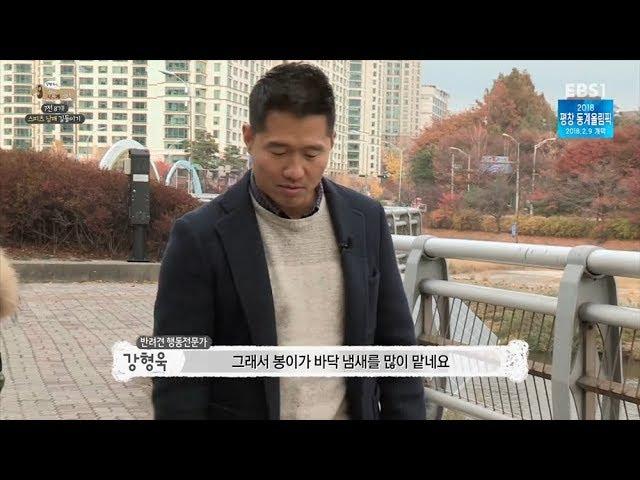 같이 걷는 산책을 위한 스페셜 사운드!｜반려견 기초 상식