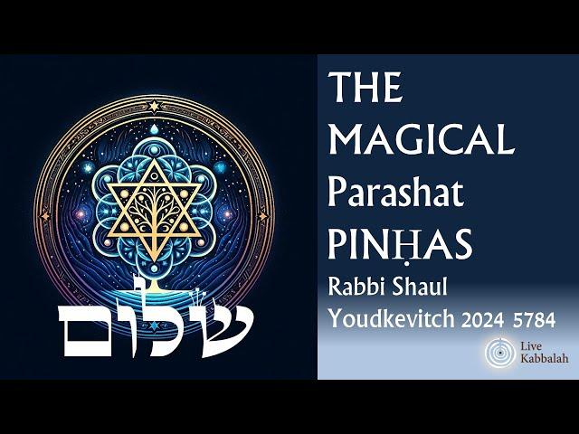 The Magical Pinhas. Free Love can kill! | Zohar Pinhas 2024 5784 | Shaul Youdkevitch