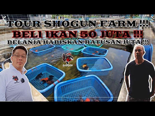 BELANJA HABISKAN RATUSAN JUTA !!! TOUR SHOGUN FARM !!! BELI IKAN 50 JUTA !!!