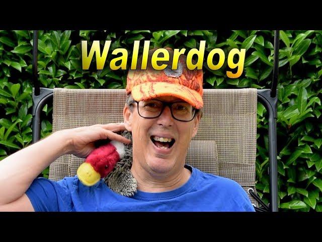 Welcome to Wallerdog Gaming Channel 20180614