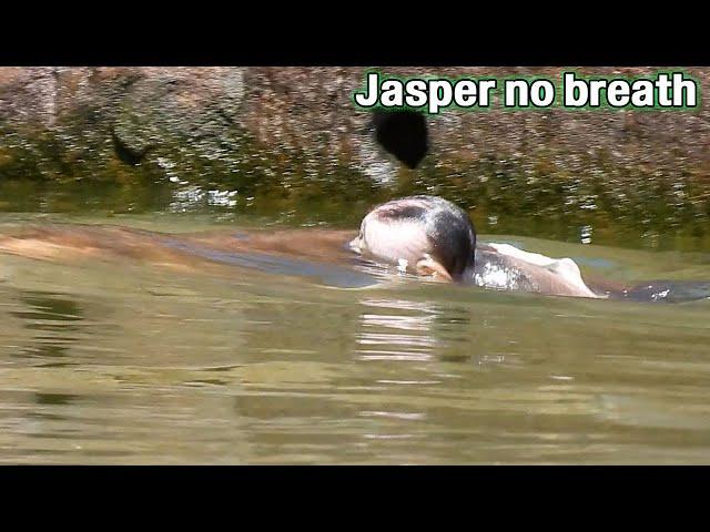 NEARLY lost l-i-f-e by mom terrible careless baby! POOR baby JASPER lost breath by drown in water