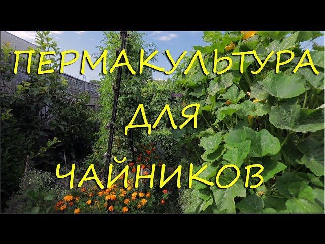 Пермакультура. Давайте начнем?