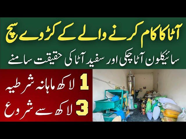 0300 1006127 || 3 lac investment Business idea || Mini Flour Mill Business Setup