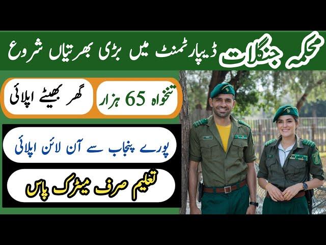 Punjab Wildlife and Parks Department Punjab Jobs 2025