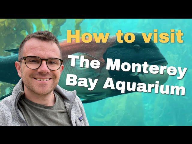 What to see at the Monterey Bay Aquarium