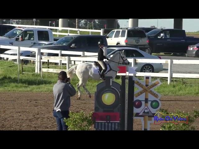 189S Claire Low on Bentley Grasshopper Show Jumping Ram Tap March 2024