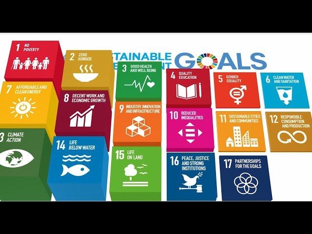 Priorities for the implementation of the 2030 Agenda