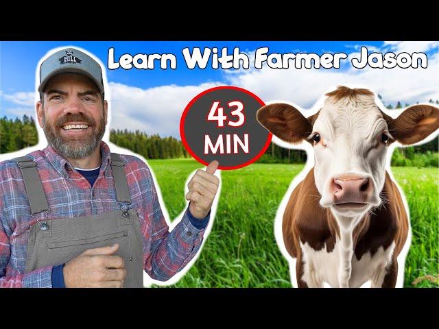 Help Farmer Jason Find The New Cow! - (Fun Educational Video For Toddlers & Preschoolers)