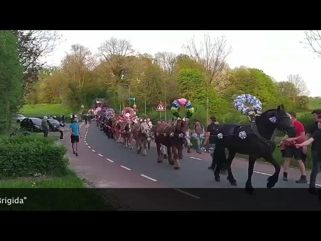 Sint Brigida Denhalen 2024 - Noorbeek