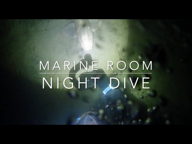 Marine Room Night Dive