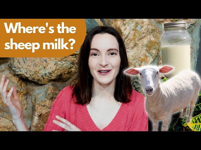 Where to Find Sheep Milk in your Area