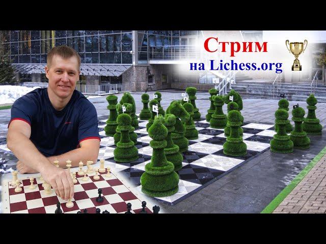 Еженедельная Блиц Арена 5+0 #shorts #chess #lichess #шортс